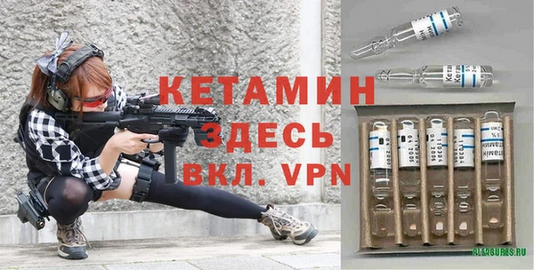 сатива Баксан