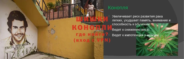 сатива Баксан