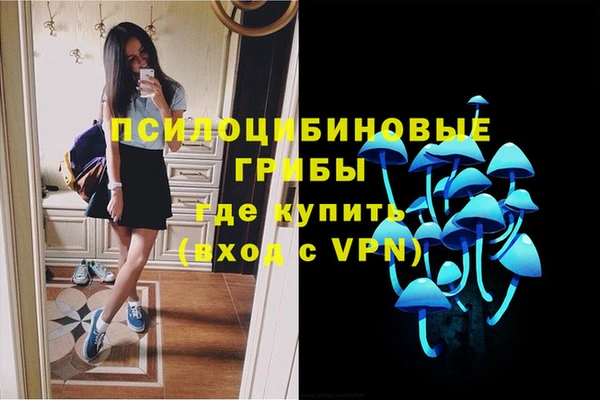 сатива Баксан