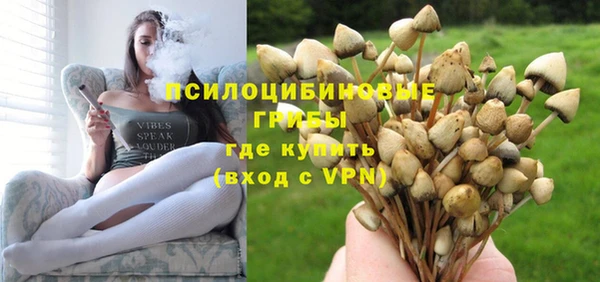 дмт Балахна