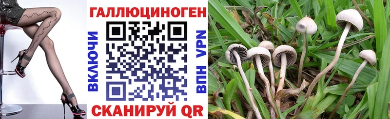 маркетплейс телеграм  кракен рабочий сайт  Славянск-на-Кубани  Псилоцибиновые грибы GOLDEN TEACHER 